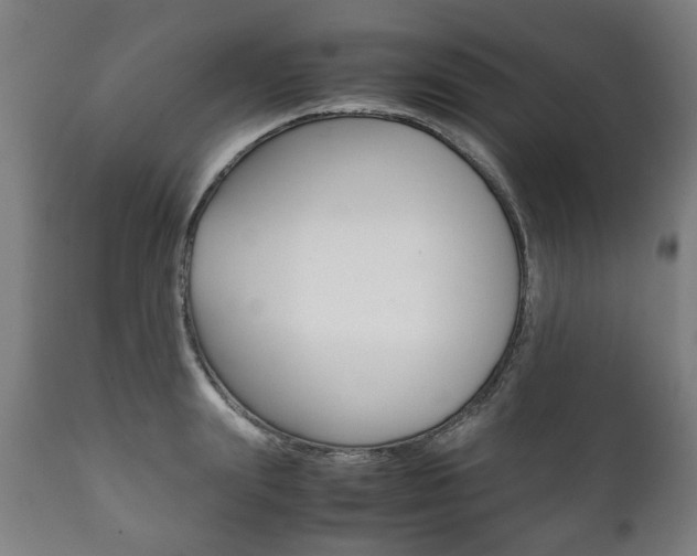 X0000111780847200907230947