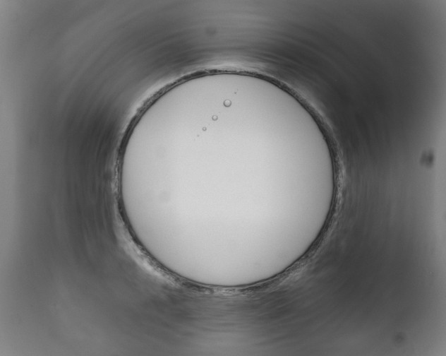 X0000111780848200907230947