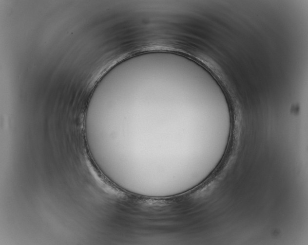 X0000111780849200907230947