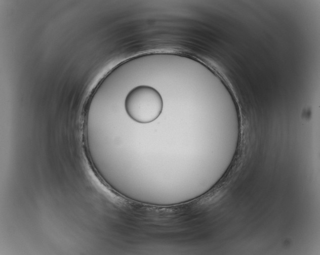 X0000111780851200907230947