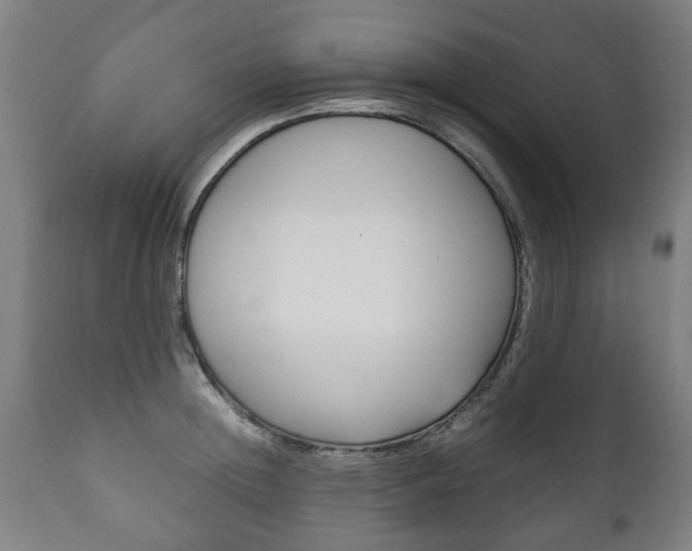 X0000111780852200907230947