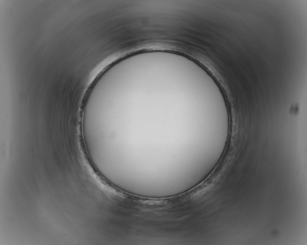 X0000111780853200907230947