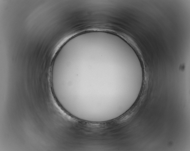 X0000111780855200907230947