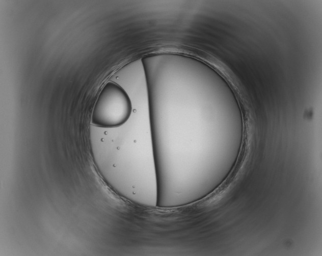 X0000111780857200907230947