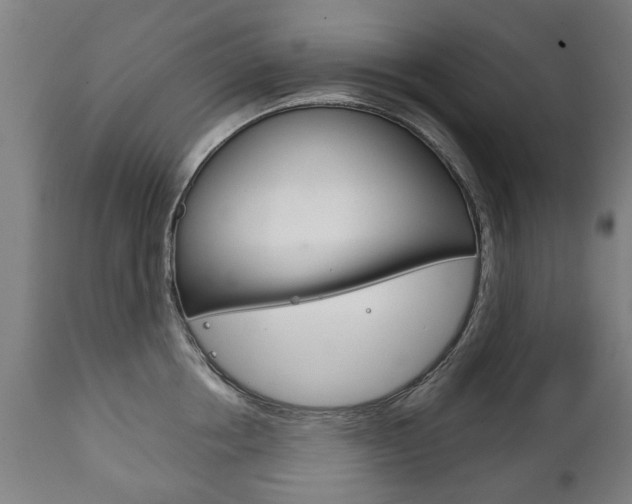 X0000111780858200907230947