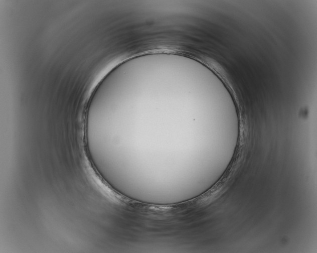 X0000111780859200907230947