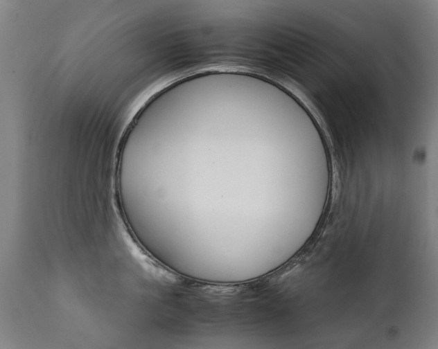 X0000111780861200907230947