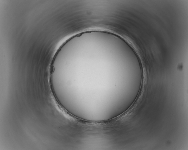 X0000111780862200907230947
