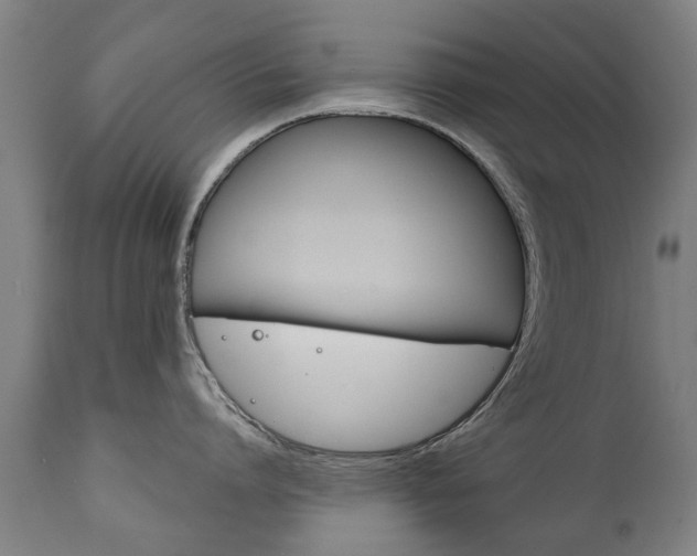 X0000111780864200907230948
