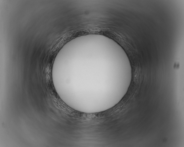 X0000111780866200907230947