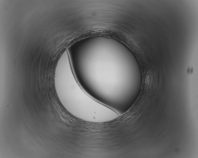 X0000111780868200907230947