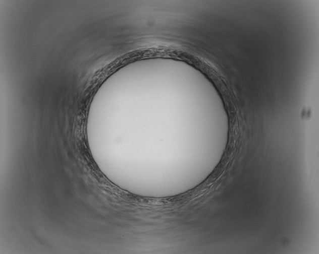 X0000111780869200907230947