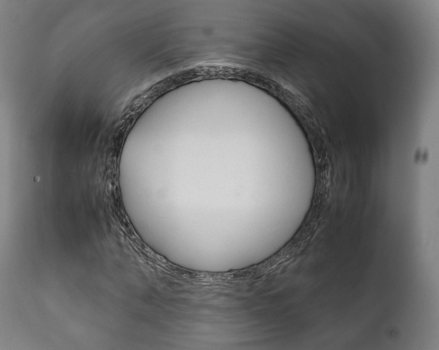 X0000111780870200907230947
