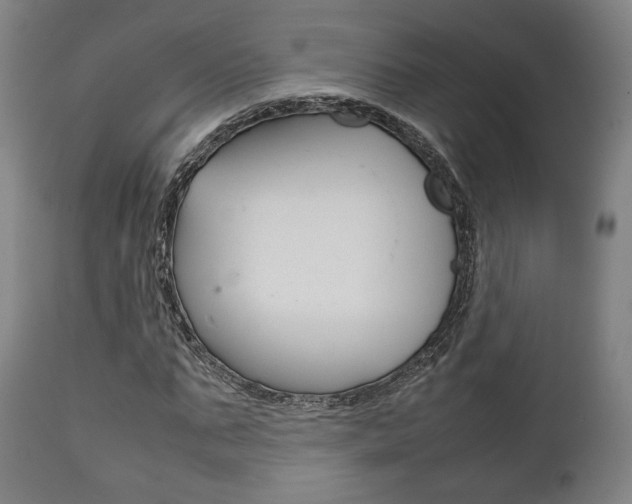 X0000111780871200907230947