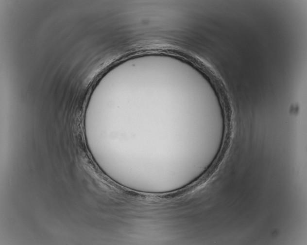 X0000111780873200907230947