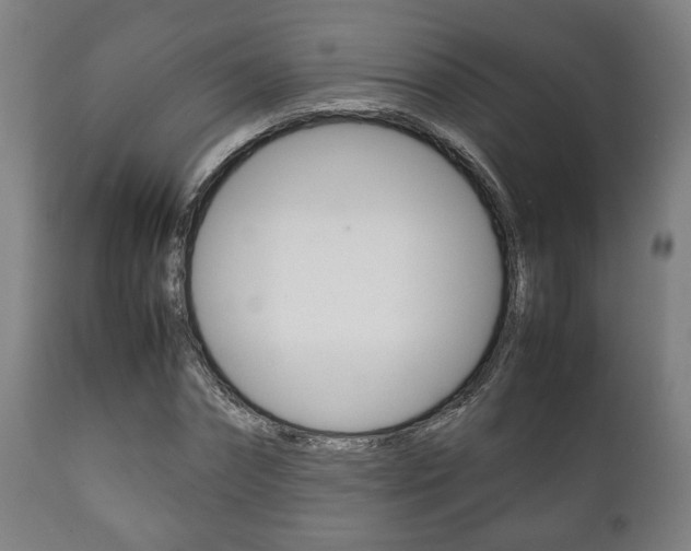 X0000111780874200907230947