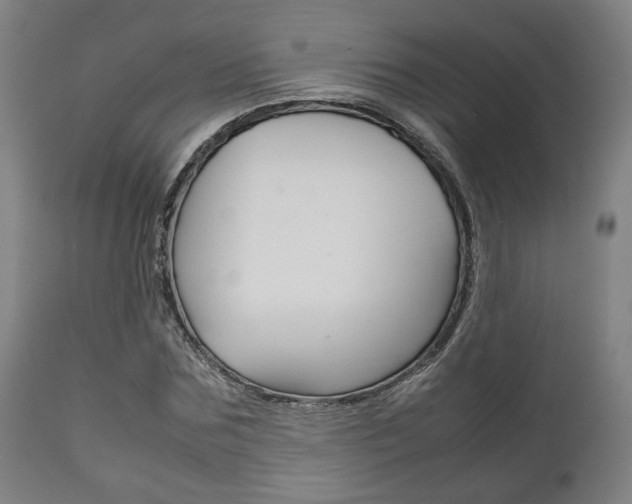 X0000111780875200907230947