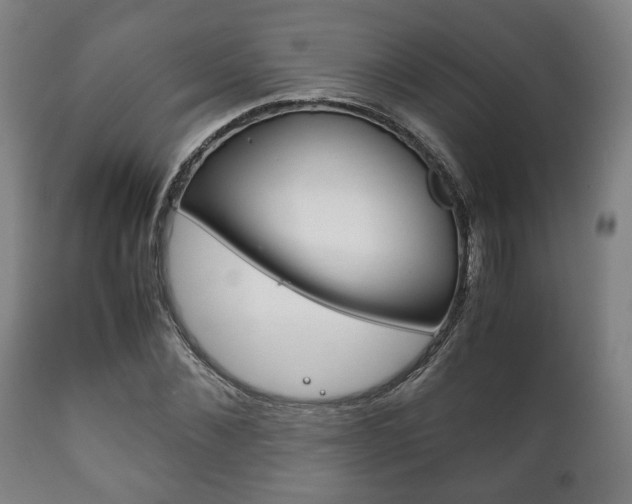 X0000111780876200907230947
