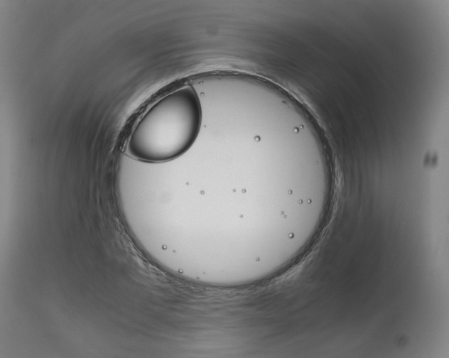 X0000111780877200907230947