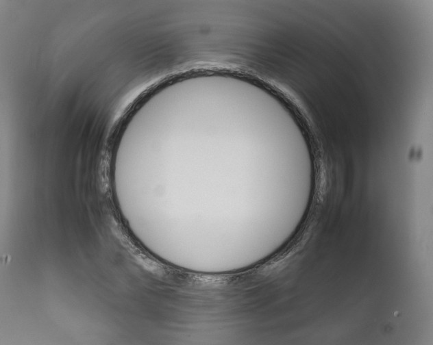 X0000111780878200907230947