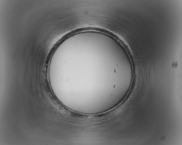 X0000111780879200907230947
