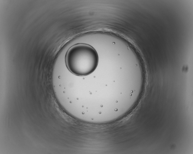 X0000111780881200907230947