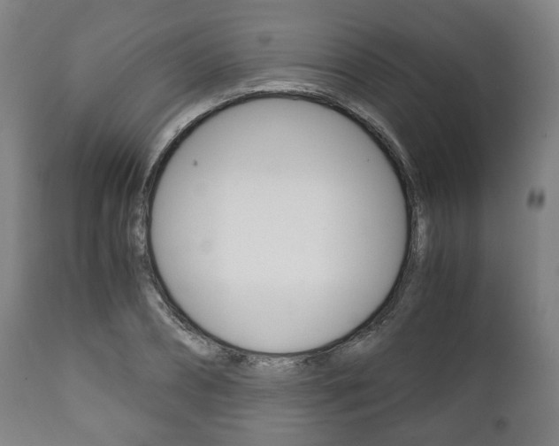 X0000111780882200907230947