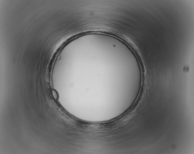 X0000111780883200907230947