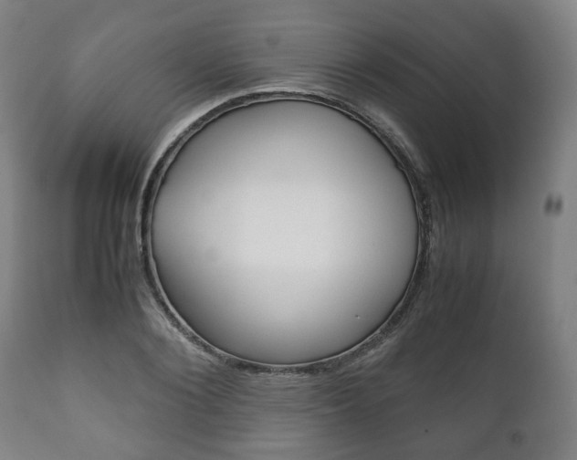 X0000111780884200907230947