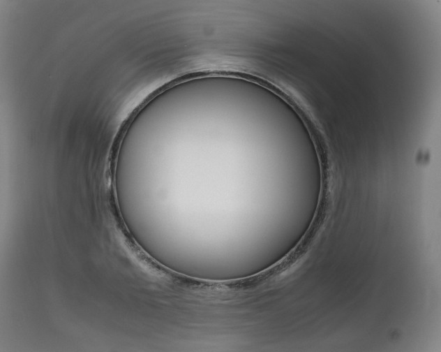 X0000111780885200907230947
