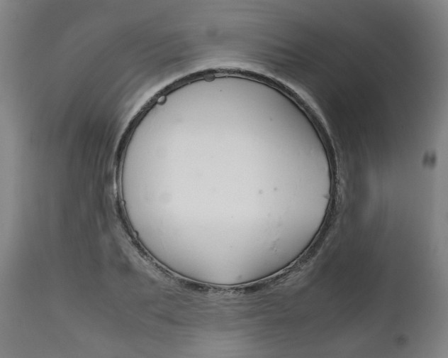 X0000111780887200907230947