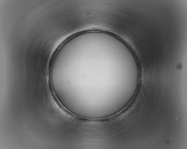X0000111780888200907230947