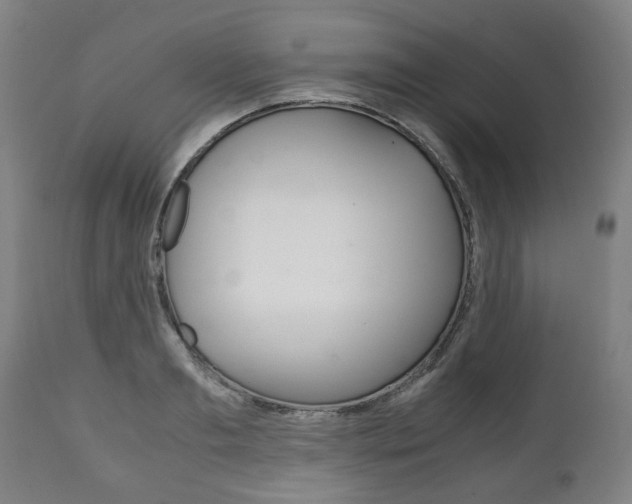 X0000111780893200907230946