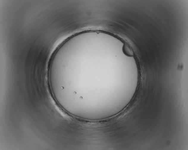 X0000111780894200907230946