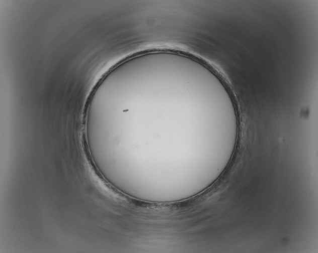 X0000111780895200907230946