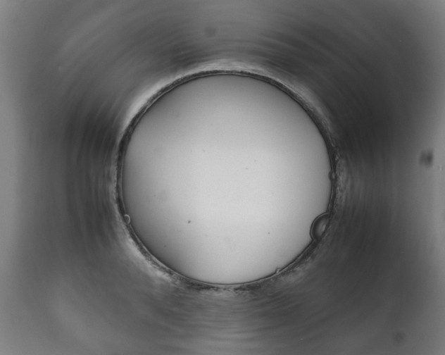 X0000111780896200907230946