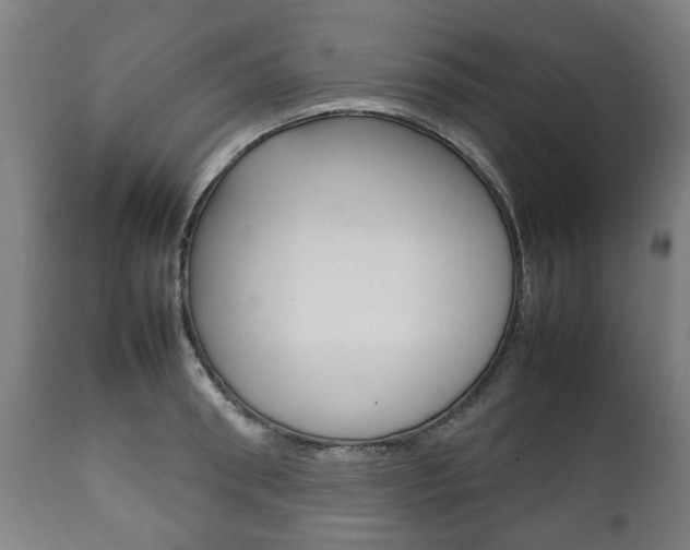 X0000111780898200907230946