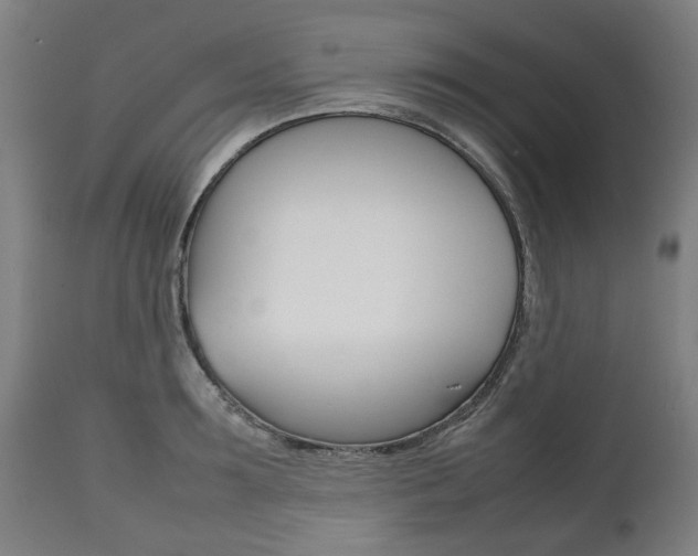 X0000111780899200907230946