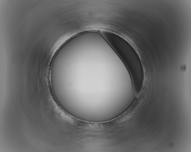 X0000111780901200907230946