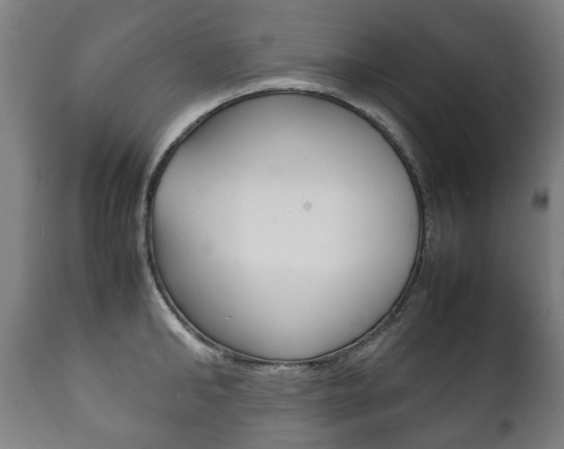 X0000111780902200907230946