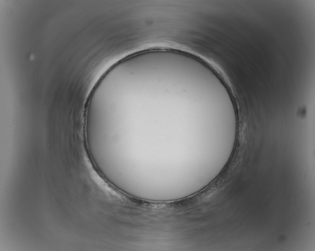 X0000111780903200907230946