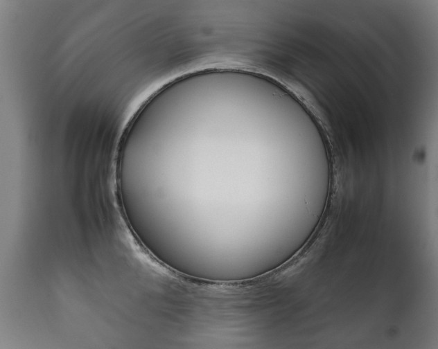 X0000111780904200907230946