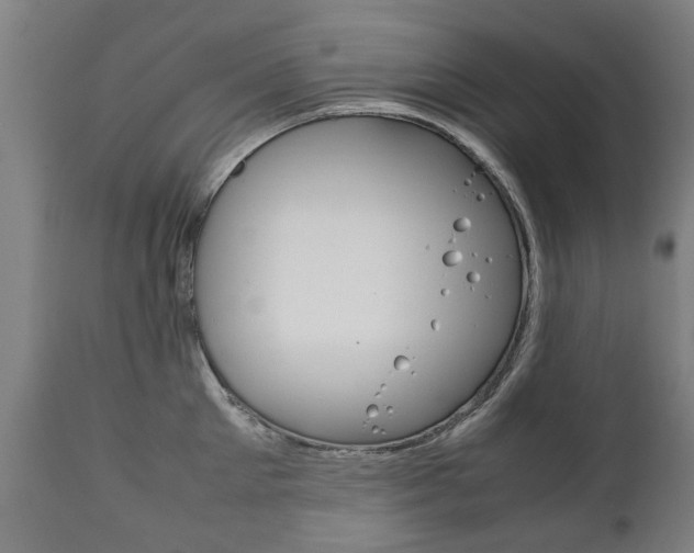X0000111780905200907230946