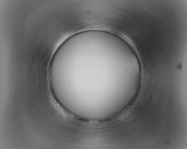 X0000111780907200907230946