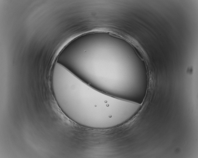 X0000111780908200907230946