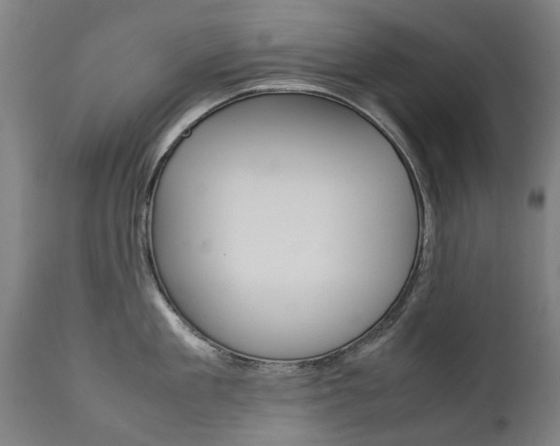 X0000111780909200907230946
