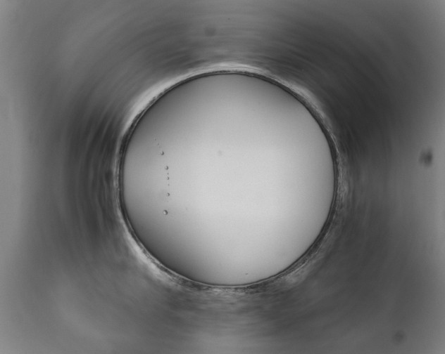 X0000111780910200907230946