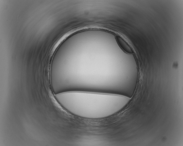 X0000111780911200907230946