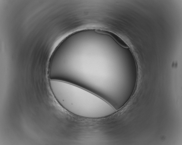 X0000111780912200907230946