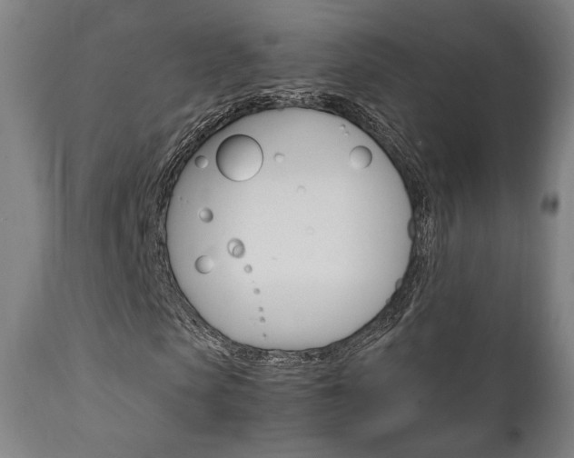 X0000111780913200907230946